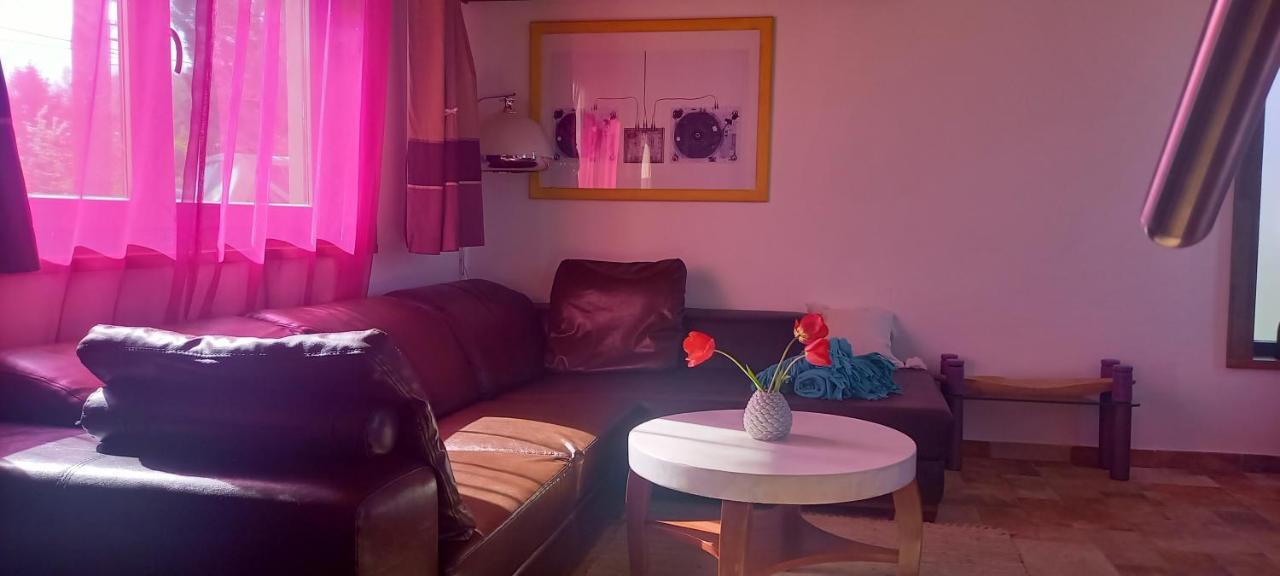 Két Puli Vendégház Bekescsaba Exterior foto