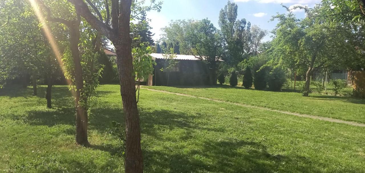 Két Puli Vendégház Bekescsaba Exterior foto