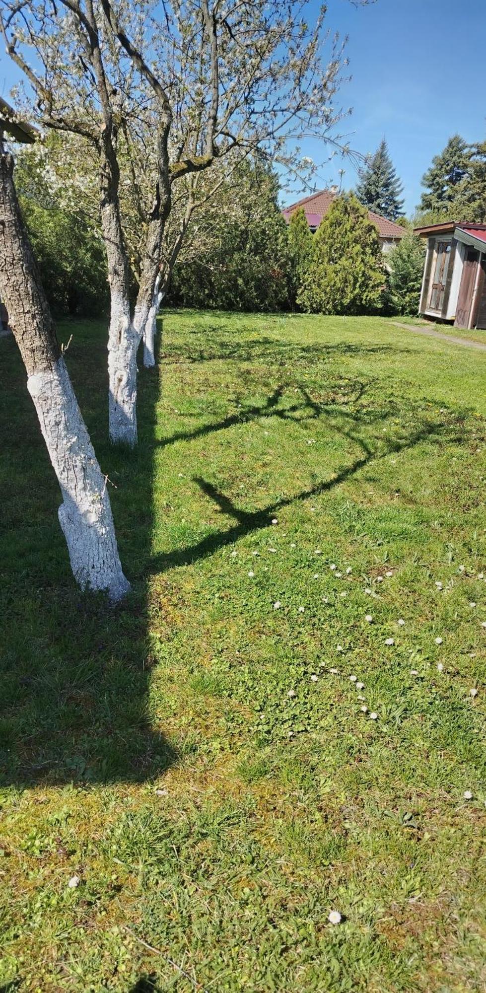 Két Puli Vendégház Bekescsaba Exterior foto